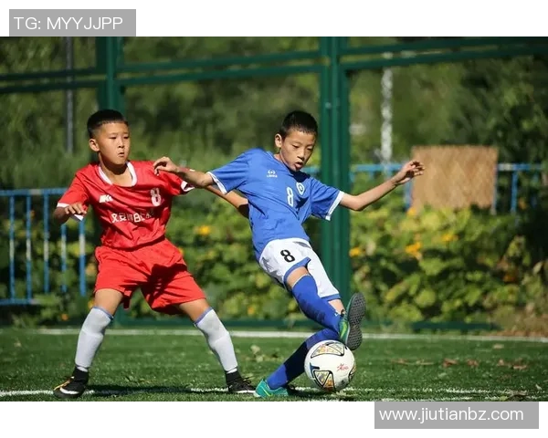 张丽的排球人生：从梦想起航到赛场辉煌的深度对话